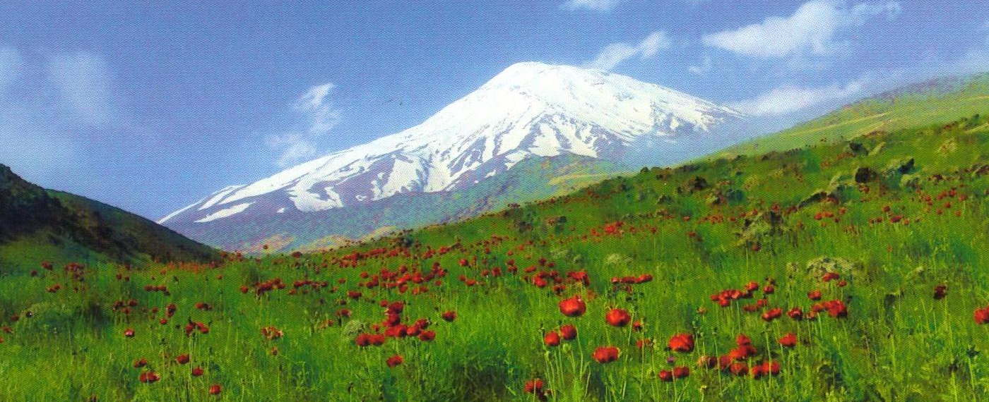 WE EMPOWER OUR MEMBERS